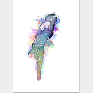 parrot watercolor Posters and Art